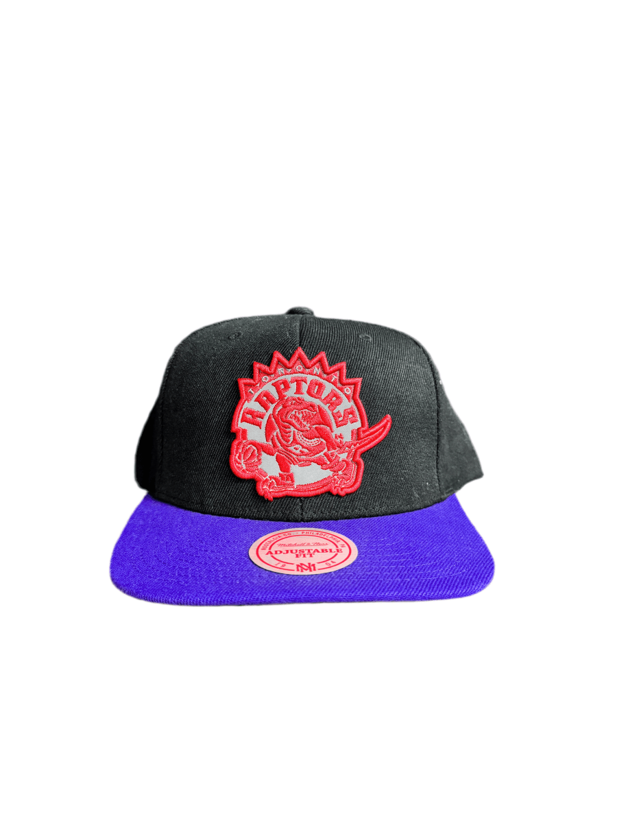 Mitchell & Ness Toronto Raptors SnapBack - ALL GOODS - ALL GOODS